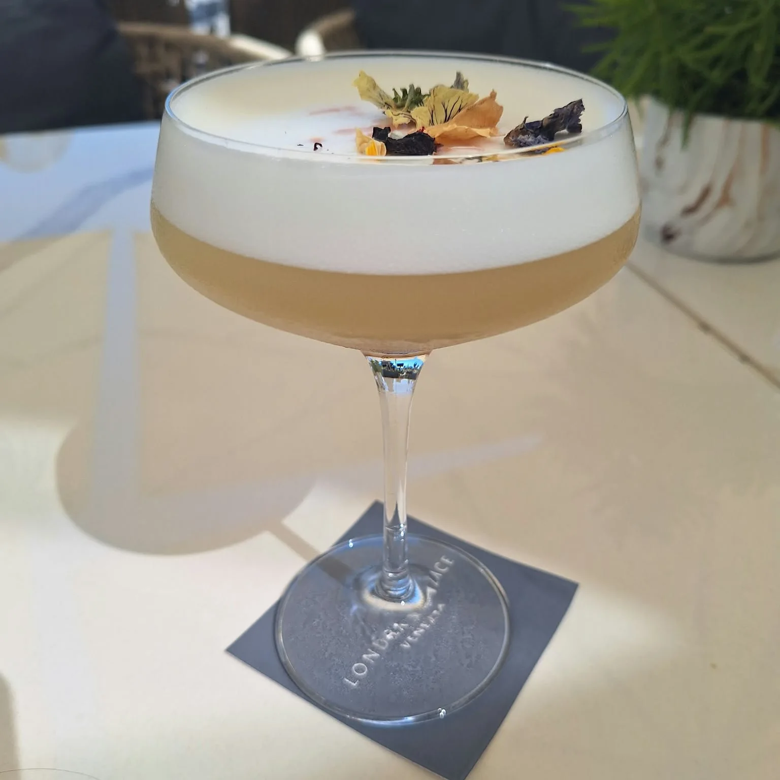 Orchid Daiquiri